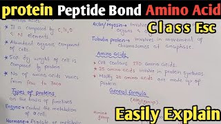 Proteins  Amino Acid Formula  Peptide Bond  Class 11 Biology UrduHindi [upl. by Chelton971]