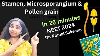 Stamen microsporangium and pollen grains class 12th by Dr Komal Saksena in hindi [upl. by Howes704]