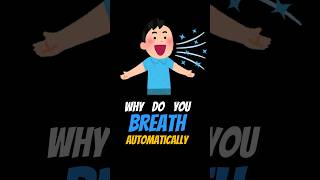 Why do you BREATH automatically Medulla Explained shorts [upl. by Ahron]