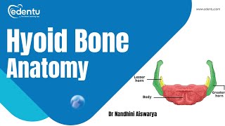 HYOID BONE  ANATOMY  BDS FIRST YEAR  edentu bds bds1styear [upl. by Stargell]