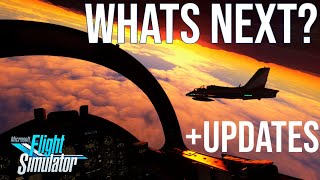 NEXT CHANGES to Microsoft Flight Simulator  Weekly News [upl. by Killen]