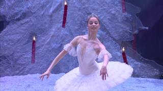 Pyotr Ilyich Tchaikovsky  Anna Nikulina  Dance of the Sugar Plum Fairy  2014 [upl. by Laehcor]