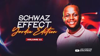 The Schwaz Effect Vol 11 Yardie [upl. by Gut]