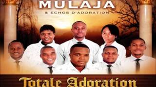 Zua Nkembo Franck Mulaja et Echos dadoration  Worship Fever Channel [upl. by Asiek]