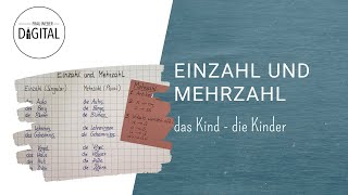 Einzahl und Mehrzahl  das solltest du dir merken [upl. by Anilosi]