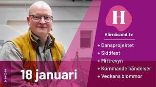 Härnösandtv  18 januari 2024 [upl. by Letty]