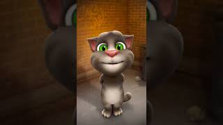 Talking tom voice sylhet bangladesh chhatak talkingtom [upl. by Buchalter]