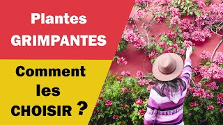 Comment bien choisir ses plantes grimpantes [upl. by Ecnadnak191]