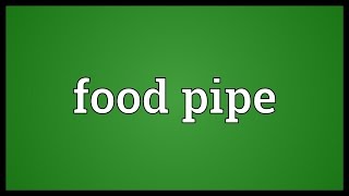 Food pipe Meaning [upl. by Reger]