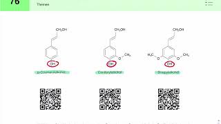 Lignin Aufbau und Biosynthese [upl. by Aillil]