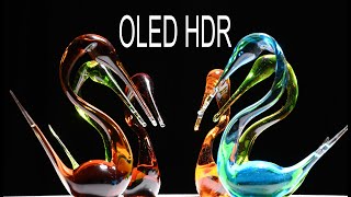 LG OLED 8K HDR OLED l NIKON Z8 [upl. by Montfort]