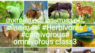 സസ്യഭുക്ക് മാംസഭുക്ക് മിശ്രഭുക്ക് Herbivorous carnivorous omnivorous class3 [upl. by Nillek]