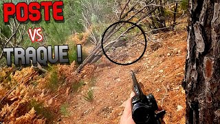 TIRS 6 SANGLIERS en Cévennes  INEDIT 😱 [upl. by Materse]