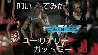 叩いてみた VAN HALEN〖You Rreally Got Me〗 [upl. by Binny]