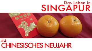 CHINESISCHES NEUJAHR  Das Leben in Singapur 4 [upl. by Oconnor366]