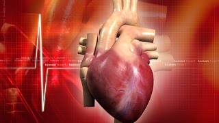 CURSO DE FARMACOLOGÍA CARDIOVASCULAR [upl. by Ellertal]