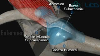 🌟EXAMEN DE LAS EXTREMIDADES SUPERIORES🌟 [upl. by Yarb795]