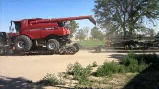 Moving with BampD walters harvesting greatest Canadian custom harvester magrath Alberta [upl. by Javier]