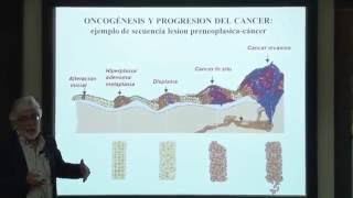 Protocolo Integral para el cáncer en animales de compañía [upl. by Annahs920]