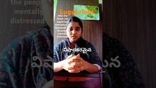 Vocabulary 4 lugubrious  విషాదకరమైన విజయవాడలో జరిగిన situation [upl. by Enileda901]