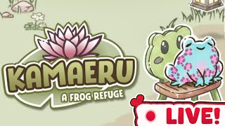 First Look at the Coziest Frog Game 🐸 Kamaeru A Frog Refuge [upl. by Niryt]