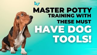 Potty Train Your Dog Faster with These MustHave Tools [upl. by Naira]