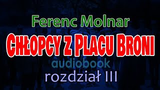 Chłopcy z Placu Broni Ferenc Molnar  audiobook PL  rozdział 310 [upl. by Cole]