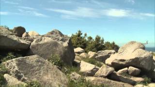 Der Harz  ein Märchengebirge [upl. by Avivah]