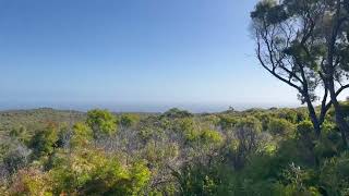 Boranup Forest Lookout [upl. by Yelsnik300]