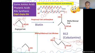 lipid 59 Propionic acid pathway High yield for USMLE step 1 [upl. by Jarrid323]