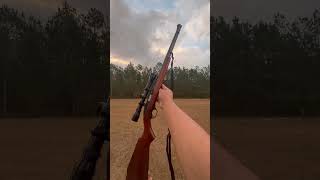 Shooting the Marlin Classic 22 semi auto rifle [upl. by Hurst534]