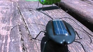 Solar Energy Bugs with Mini Photovoltaic cells [upl. by Fernando]