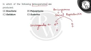 In which of the following anisogametes are produced [upl. by Faruq715]