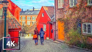 Exploring DAMSTREDET Old Town in OSLO I 4K [upl. by Nnaear]