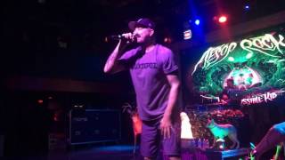 Aesop Rock  Mystery FishRings The Impossible Kid Tour 2016 [upl. by Ahcatan75]