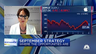 We will see continued deceleration says Nancy Tengler CEO and CIO of Laffer Tengler Investments [upl. by Joby48]