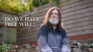 Robert Sapolsky amp Andrew Huberman  Do We Have Free Will  SPEECH 5 [upl. by Coombs854]