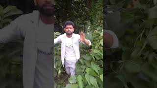 Girgayaयार 😂🤣 irfan comedy shorts youtubeshorts [upl. by Acirtal]