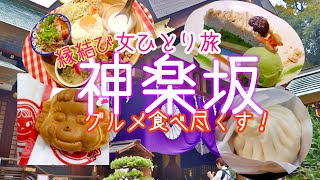 【神楽坂女ひとり旅】神楽坂食べ歩き・東京大神宮・縁結び【神楽坂グルメ食べ尽くす】 [upl. by Adyahs]