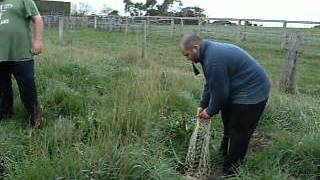 Rabbitting with Ferrets in Australia [upl. by Boaten260]