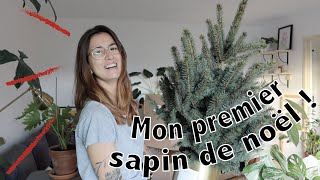 Une journée avec moi  Sapin de noël et rempotage  dailyvlog [upl. by Dnalevets]