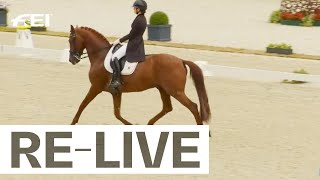 RELIVE  Juniors Team Part II  FEI Dressage European Championships Juniors [upl. by Israeli306]