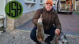 hunting rabbits with ferrets and dogs [upl. by Silas]