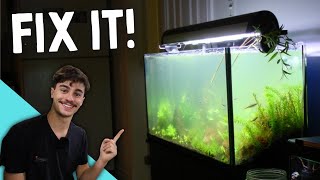 How to Fix Cloudy Water in an Aquarium Quick and Easy [upl. by Chancey]