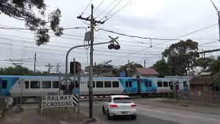 Glenferrie Road Tramsquare Level Crossing Kooyong Victoria Australia 11th of December 2022 [upl. by Werda]