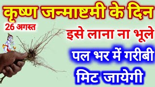 26 अगस्त जन्माष्टमी के दिन इसे लाना ना भूलना जन्म जन्मांतर की गरीबी दूर हो जायेगी [upl. by Hakaber]