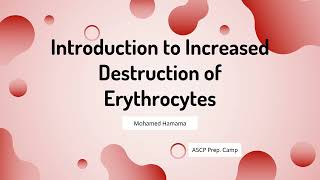 ASCP  MLS  MLT  Hematology  Introduction to Increased Destruction of Erythrocytes [upl. by Dehlia]