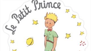 Le Petit Prince  Chapitre 6  quotLes Couchers de Soleilquot [upl. by Peppi]