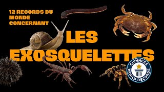 RECORDS DU MONDE 21  Les exosquelettes [upl. by Liane]