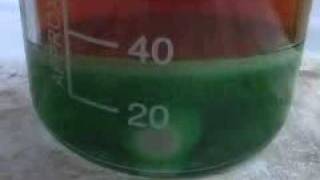 NICKEL METAL in NITRIC ACID [upl. by Martella]